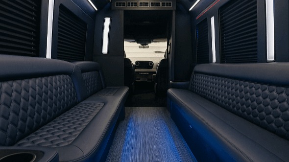 25 passenger party bus interior